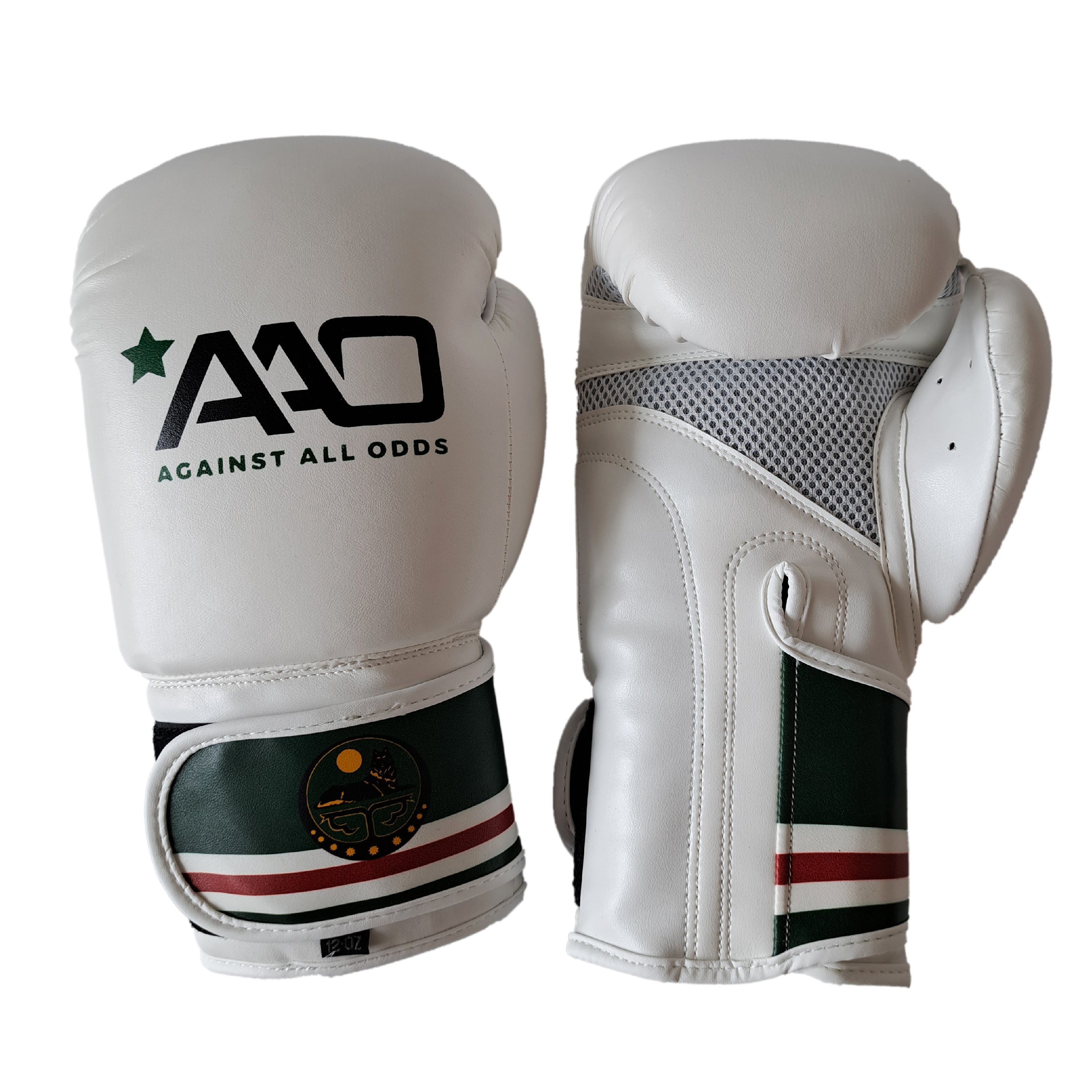 Chechnya Boxing Glove - Aao-Fighting