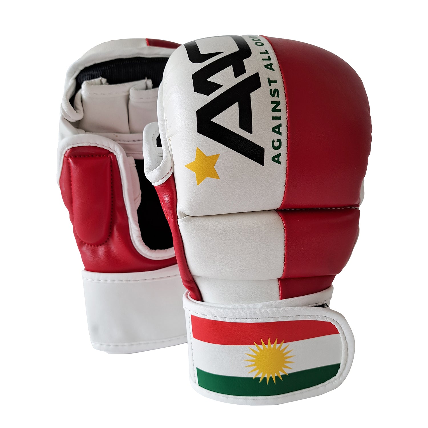 Kurdistan MMA Glove - Aao-Fighting