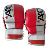 Poland MMA Glove - Aao-Fighting