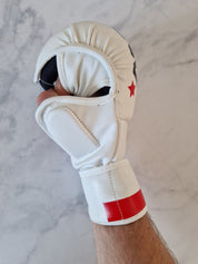 Polska MMA Glove - Aao-Fighting