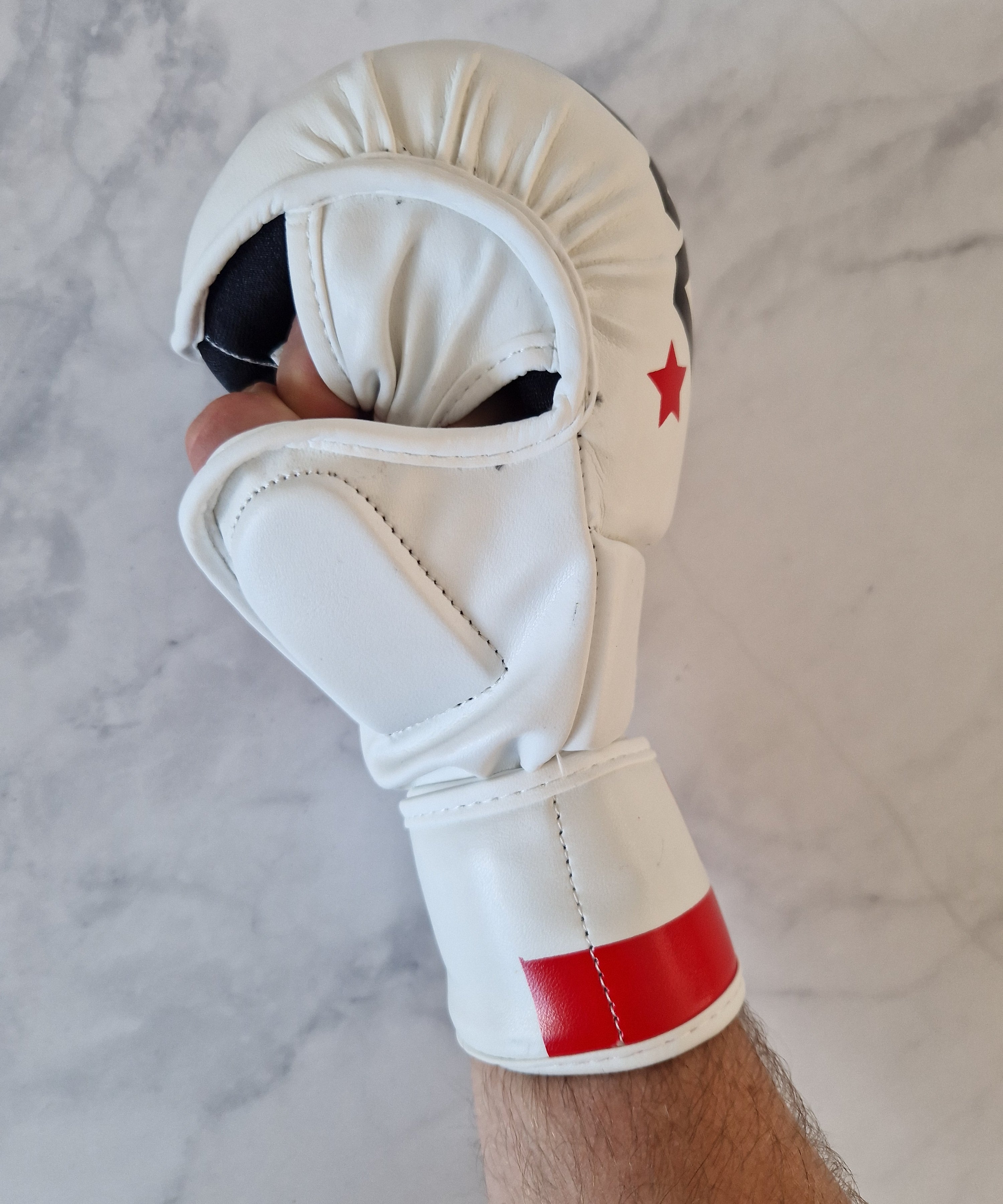 Polska MMA Glove - Aao-Fighting