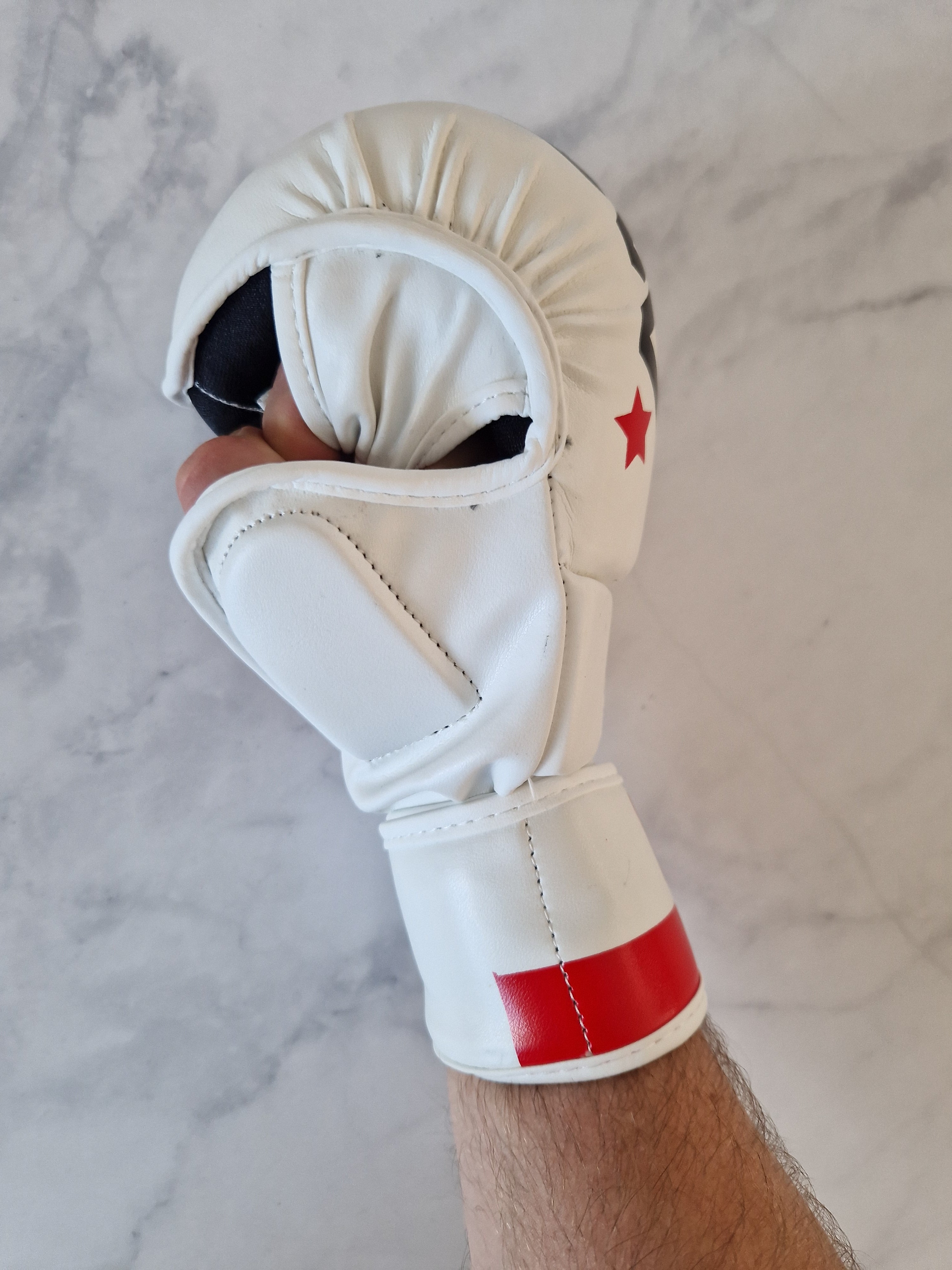 Polska MMA Glove - Aao-Fighting