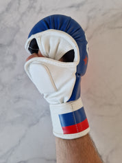 Russia MMA Glove - Aao-Fighting