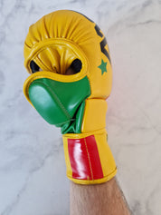Guinea MMA Glove - Aao-Fighting
