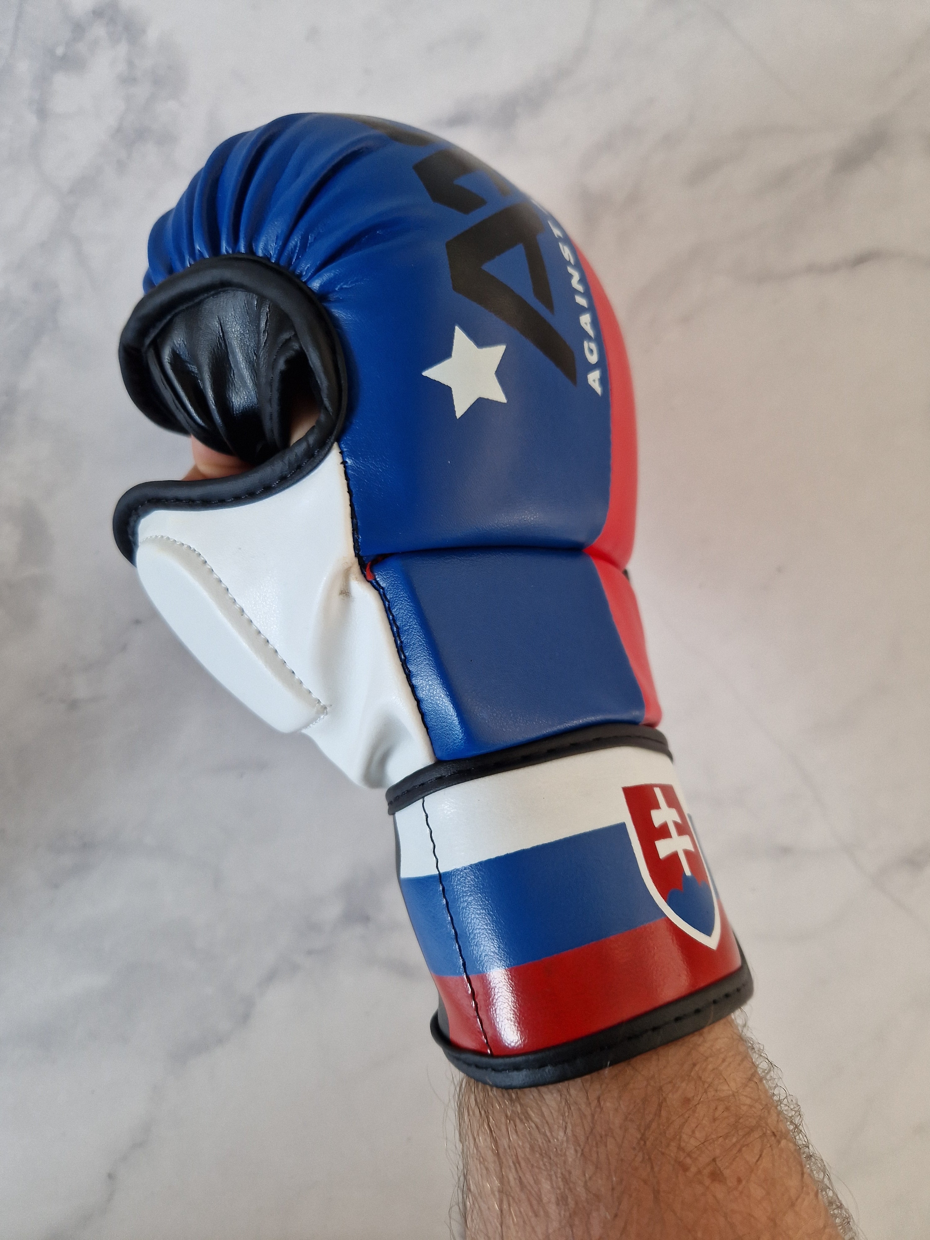 Slovakia MMA Glove - Aao-Fighting