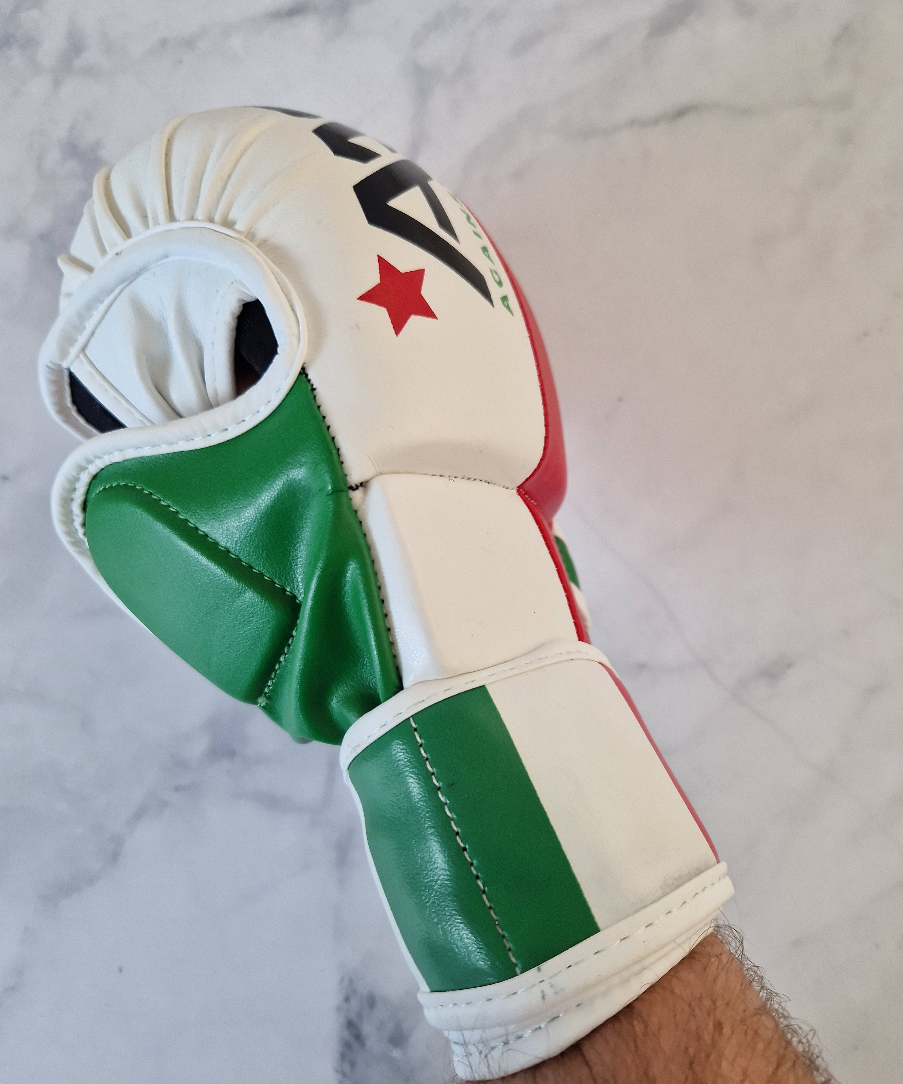 Italy MMA Glove - Aao-Fighting
