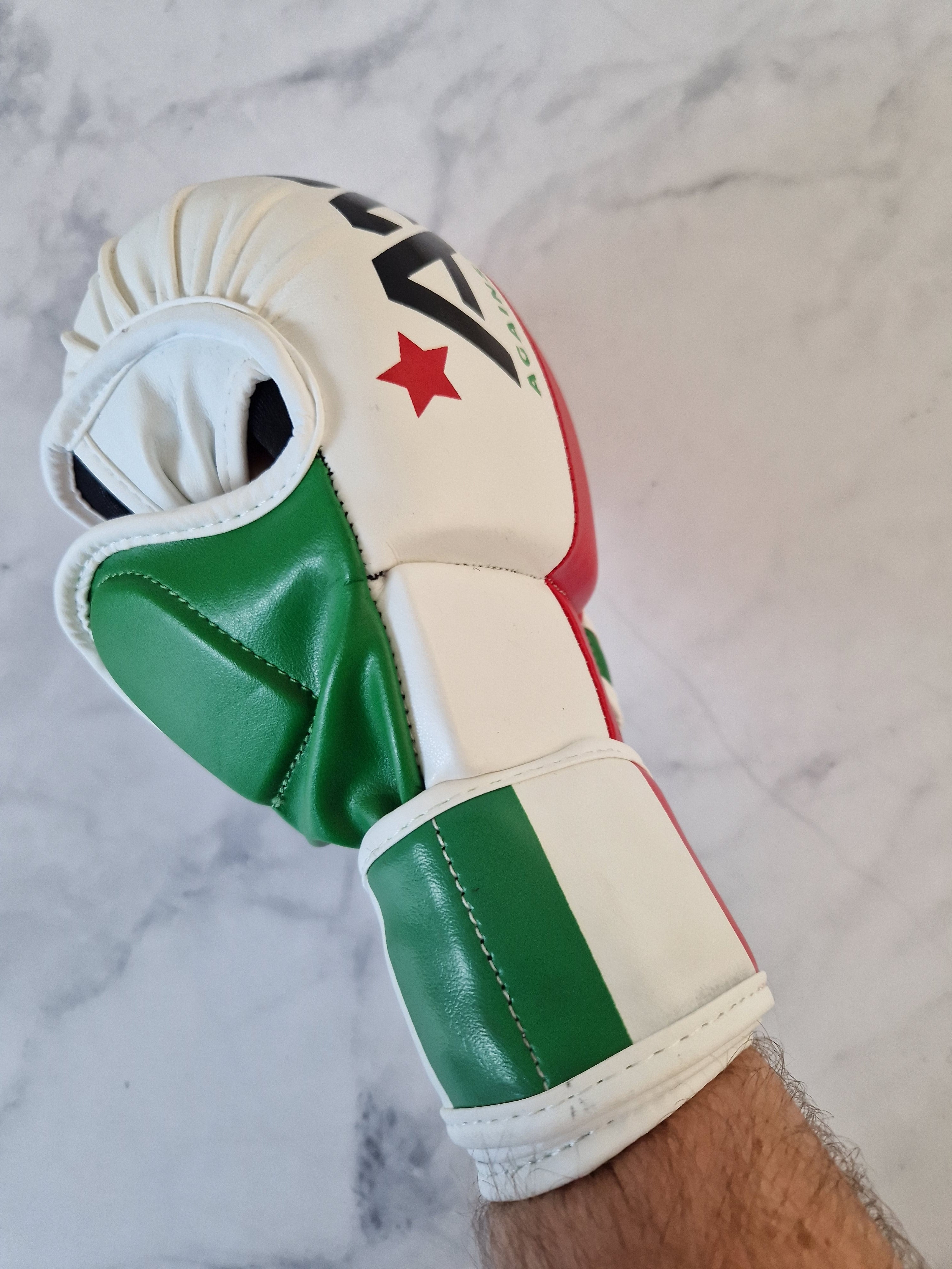Italy MMA Glove - Aao-Fighting
