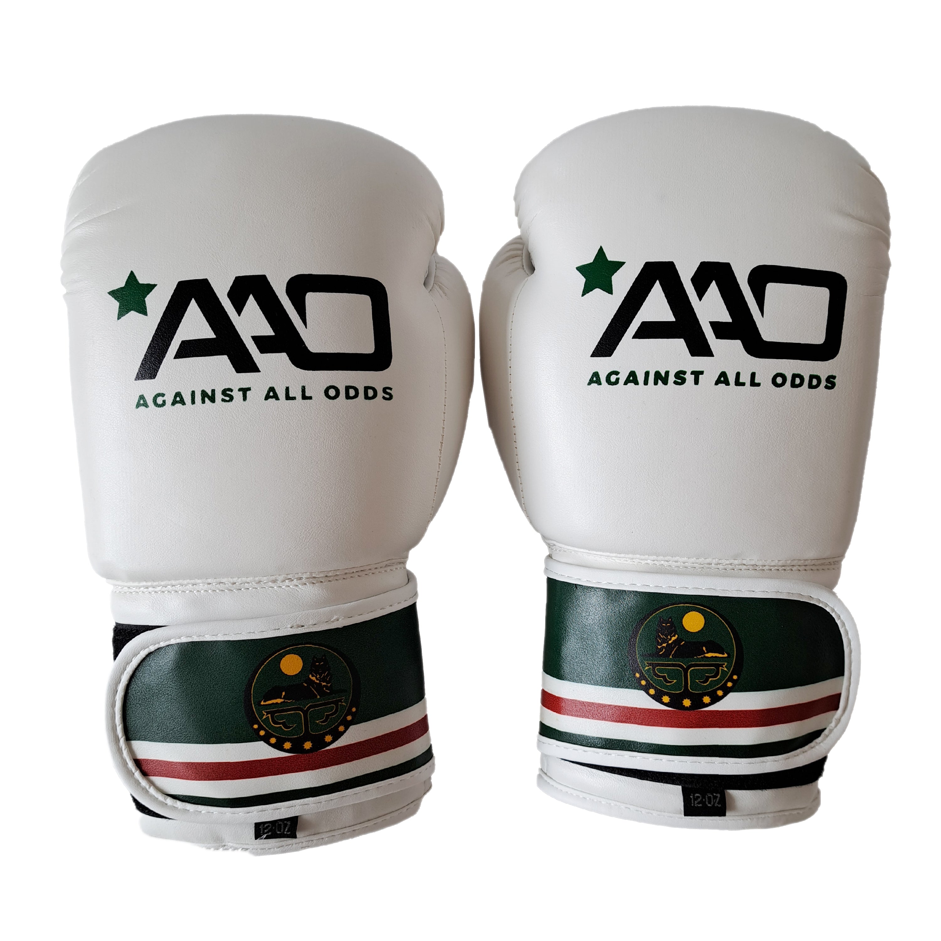 Chechnya Boxing Glove - Aao-Fighting