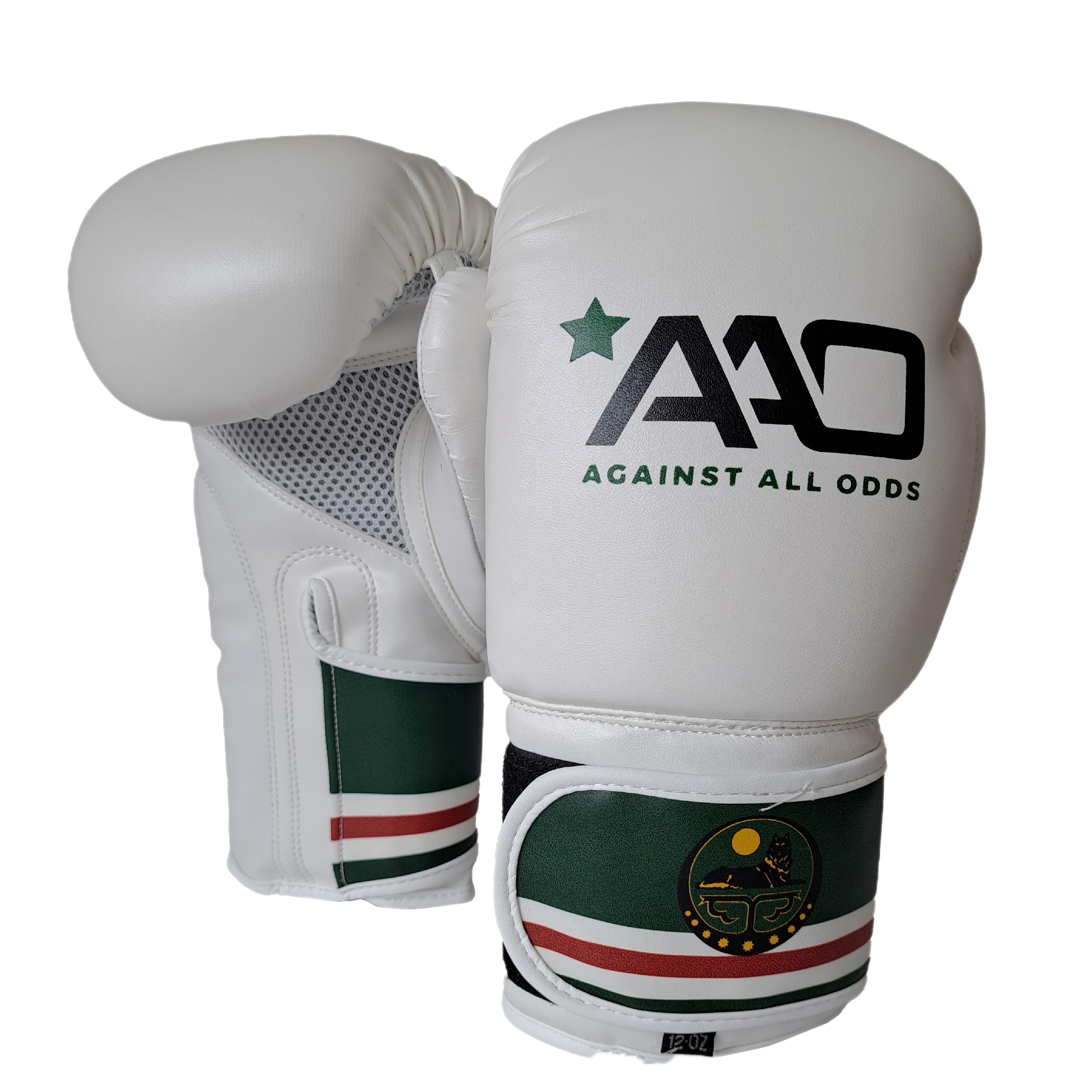 Chechnya Boxing Glove - Aao-Fighting