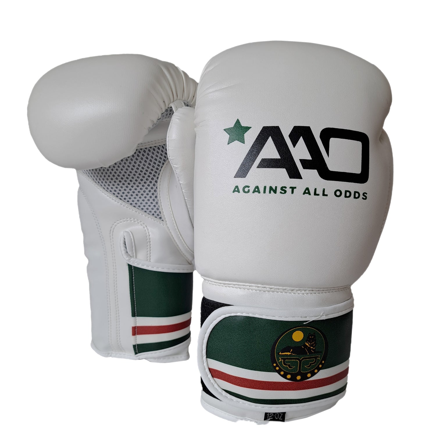 Chechnya Boxing Glove
