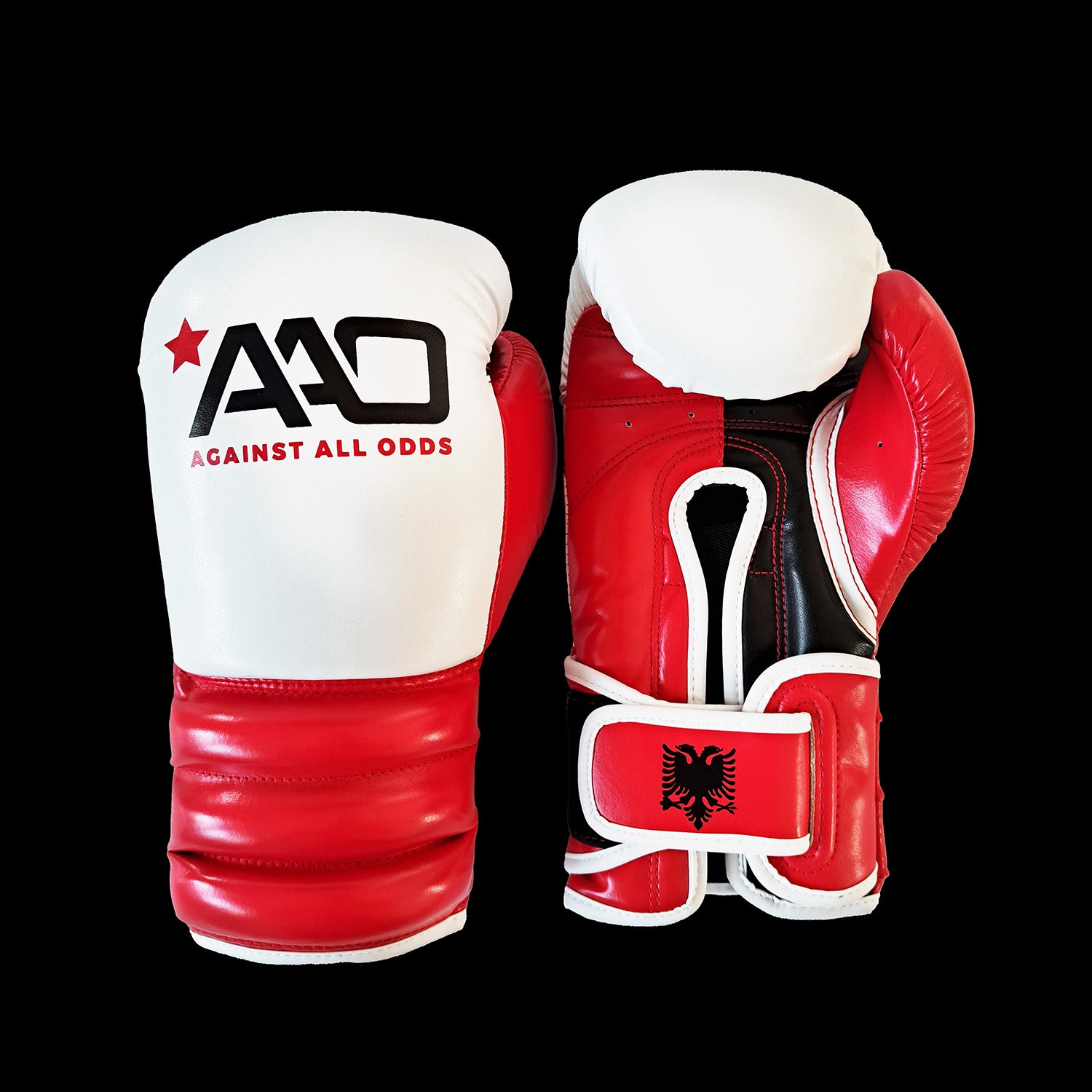 Allround Boxhandschuhe Albanien Edition - Aao-Fighting