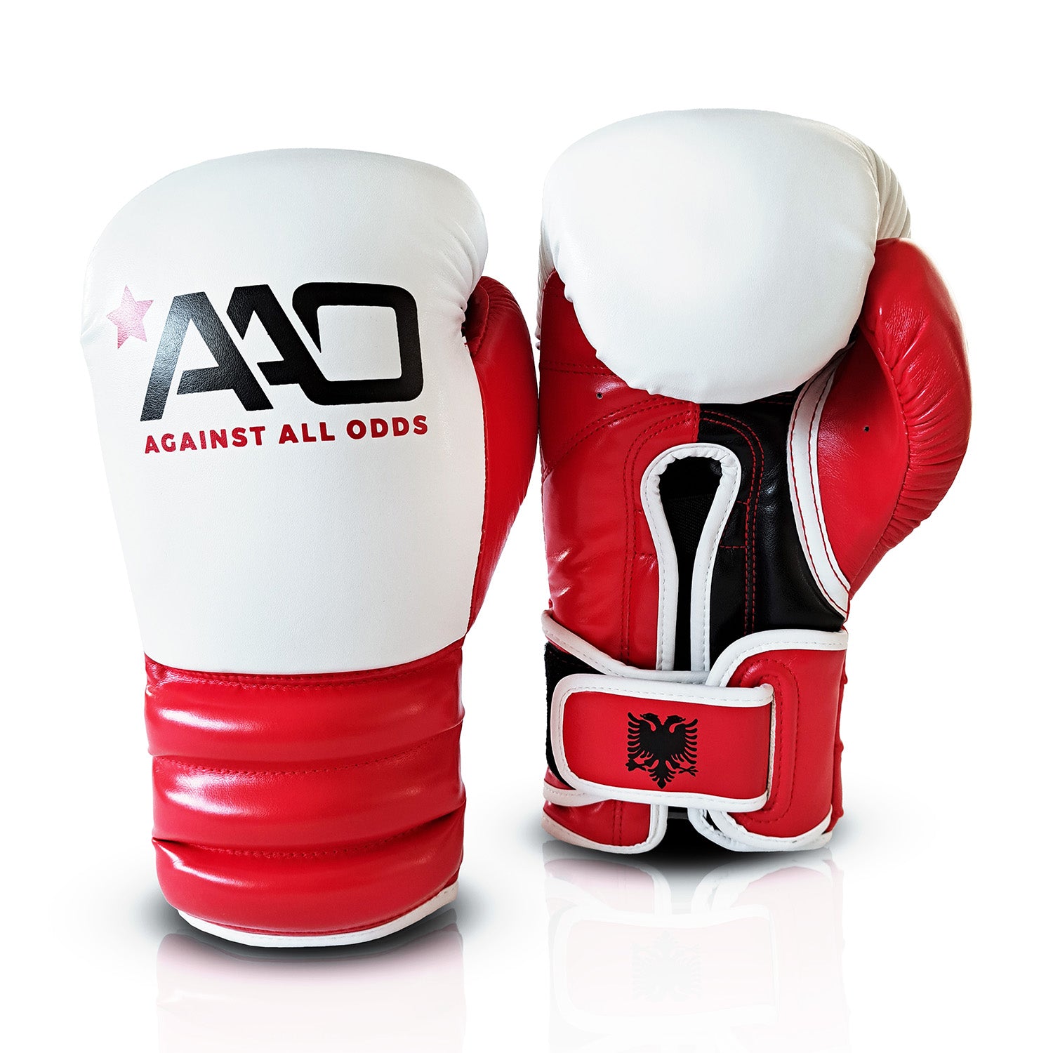 Allround Boxhandschuhe Albanien Edition - Aao-Fighting