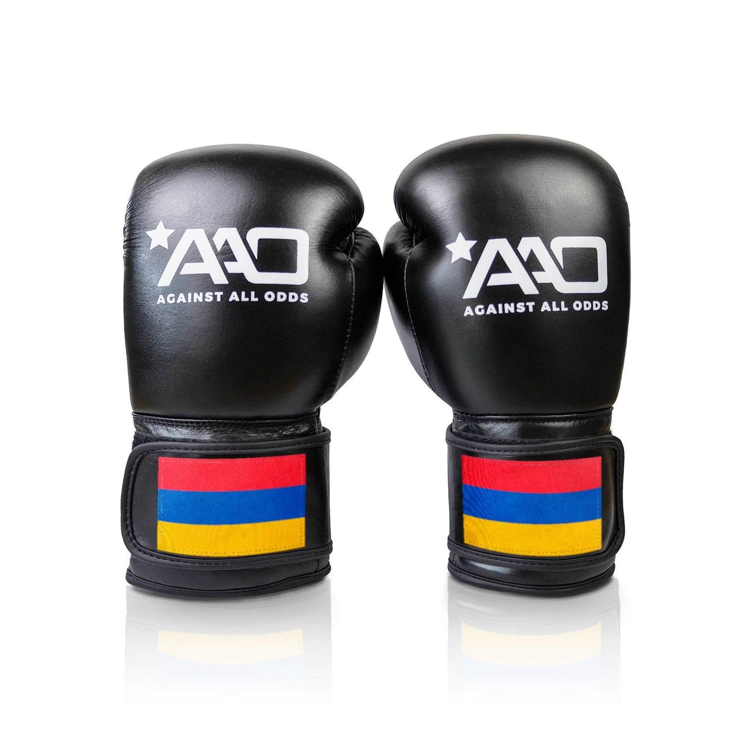 Armenia Boxing Glove