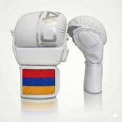 AAO Legacy MMA Handschuhe | Armenien - Aao-Fighting