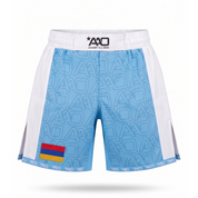 Armenien Elevate MMA Shorts Babyblau/Weiss Bild 1
