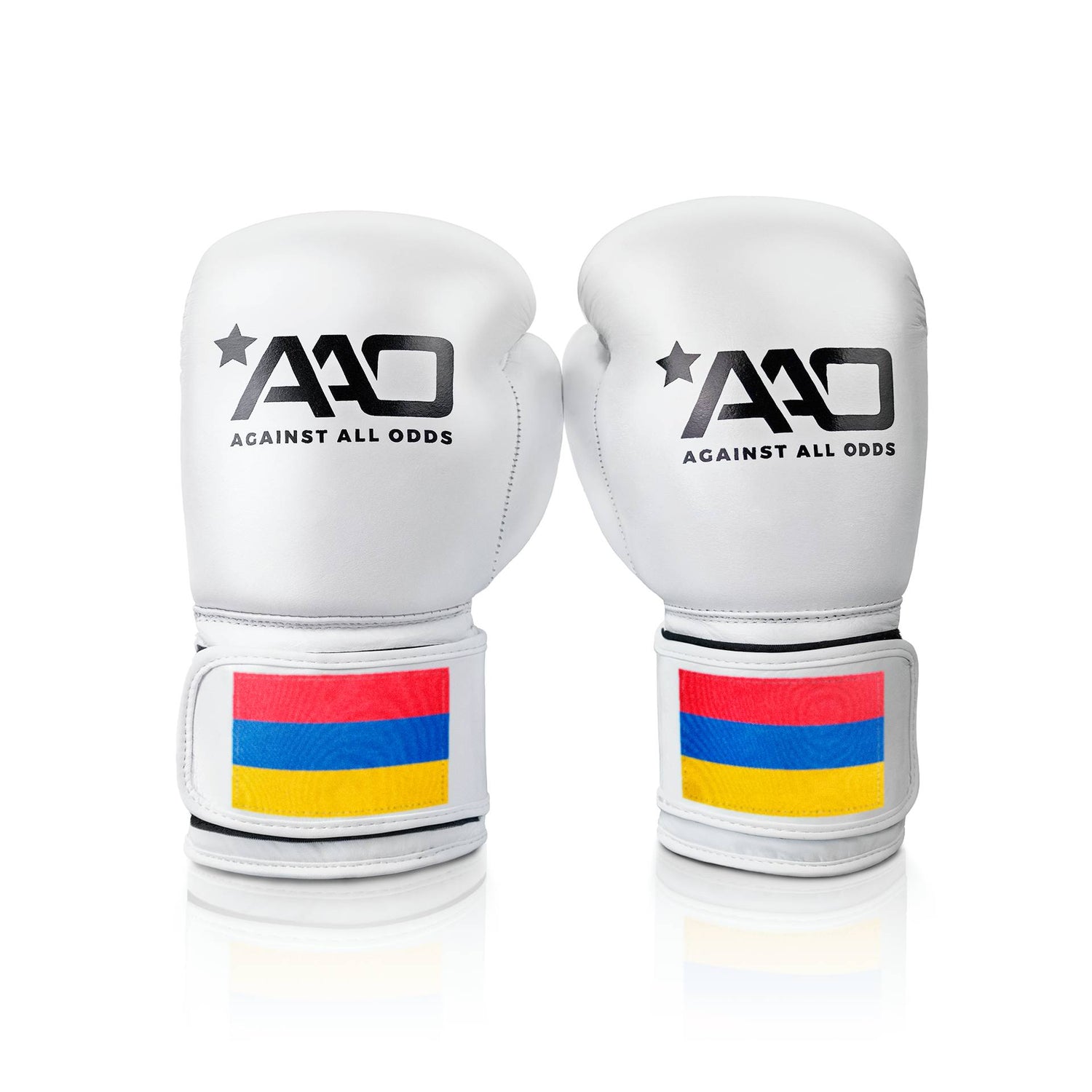 Armenia Boxing Glove