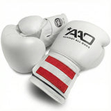 AAO Legacy Boxing Gloves | Austria