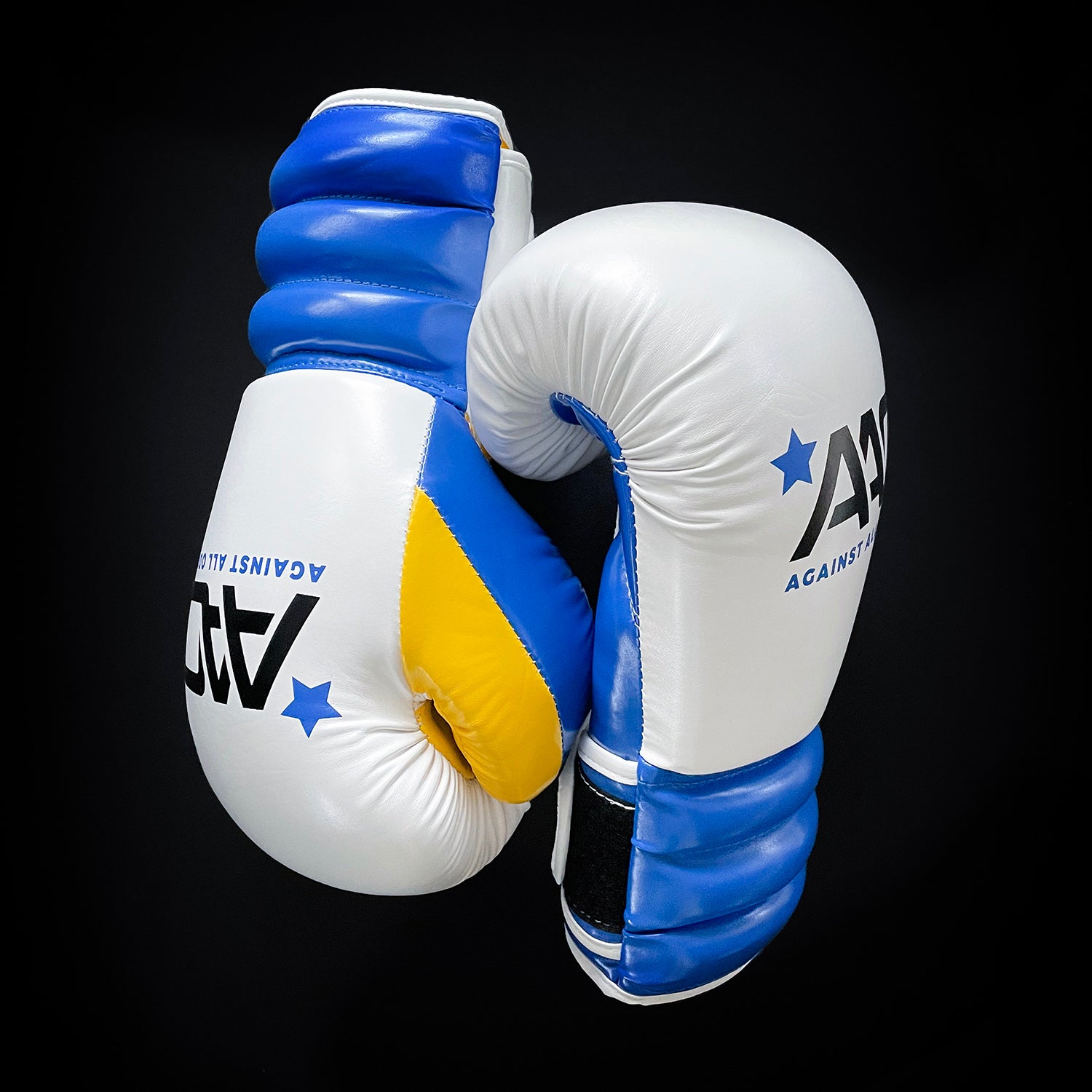Bosnia and Hercegovina Boxing Glove