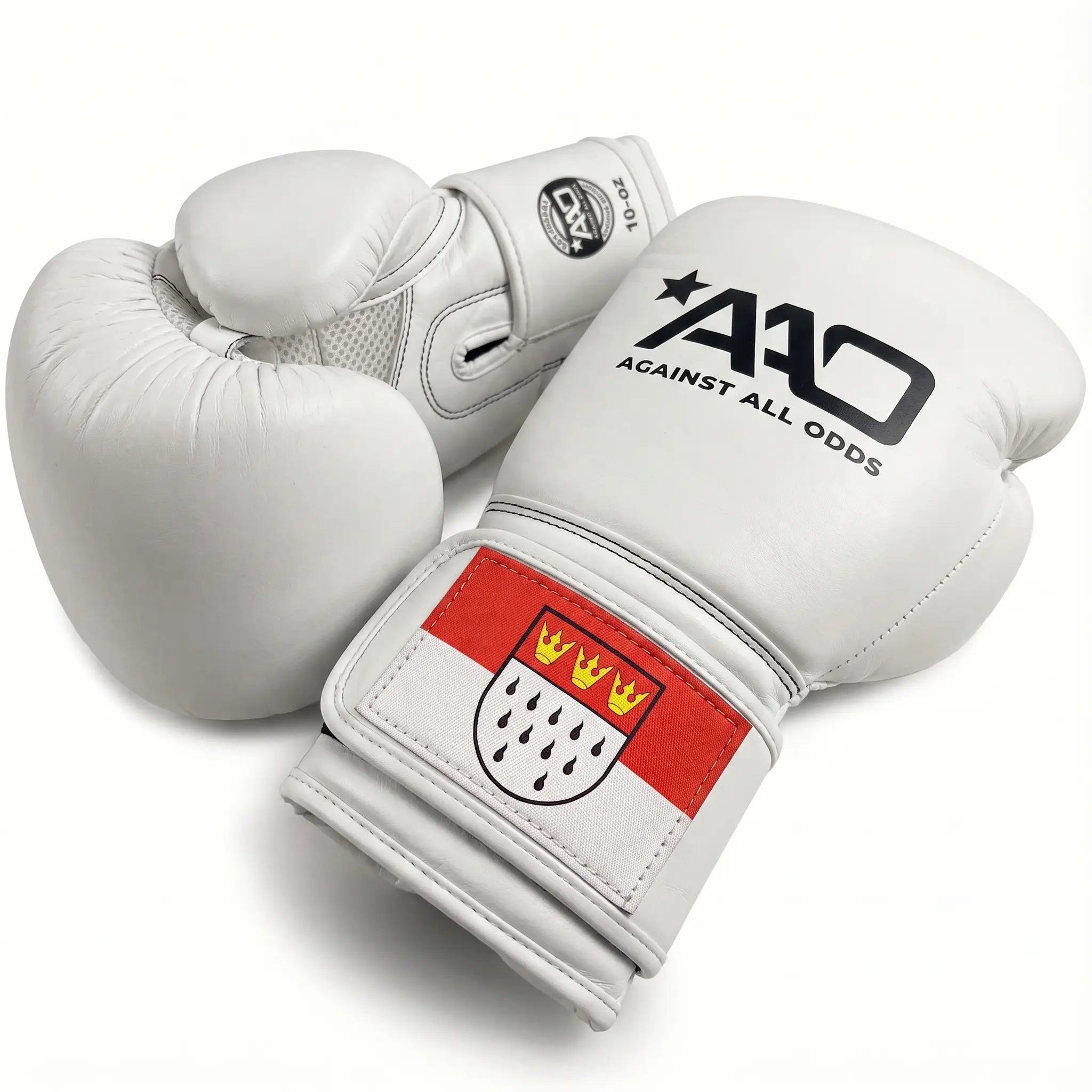 Gants de boxe Legacy AAO | Algérie