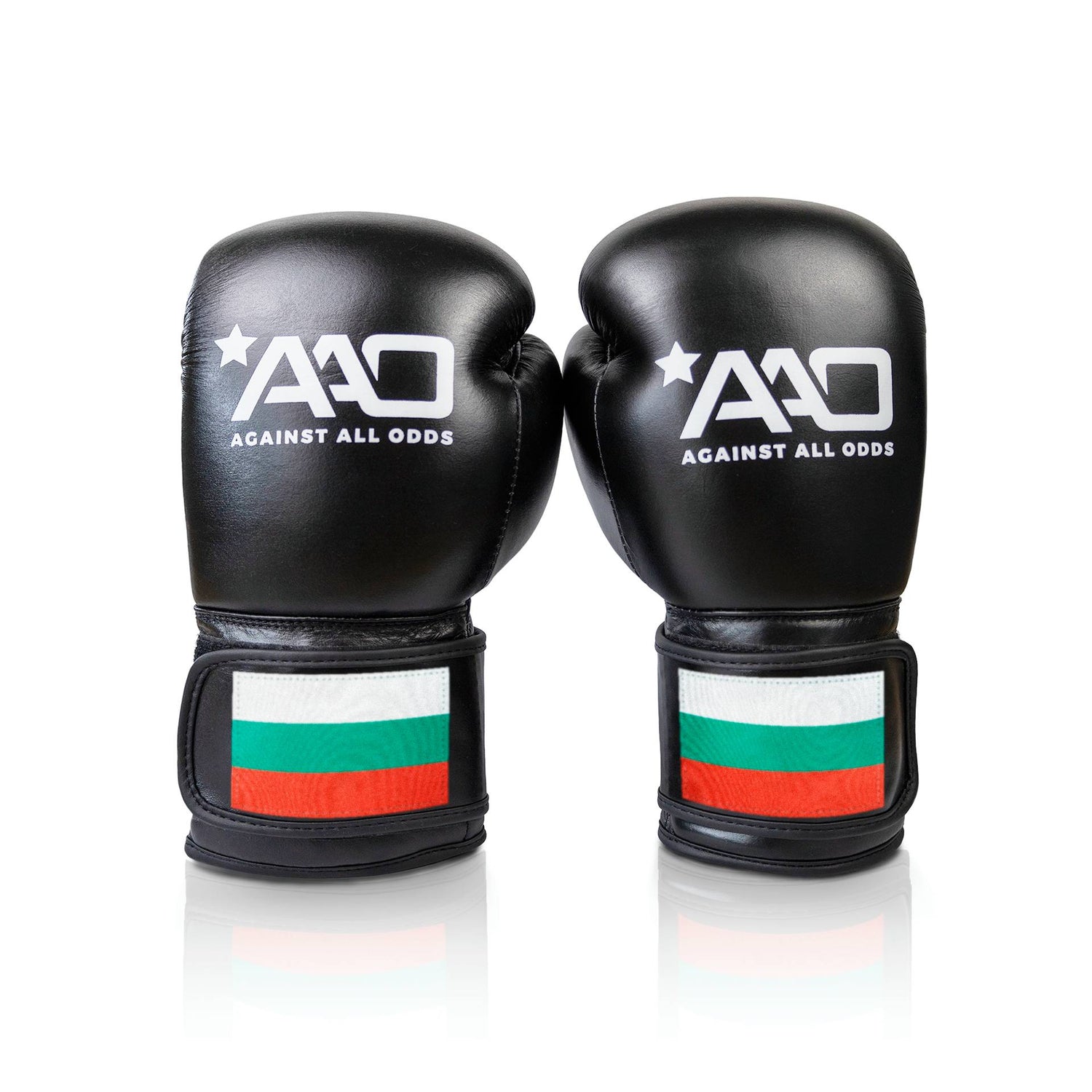 Bulgaria Boxing Glove