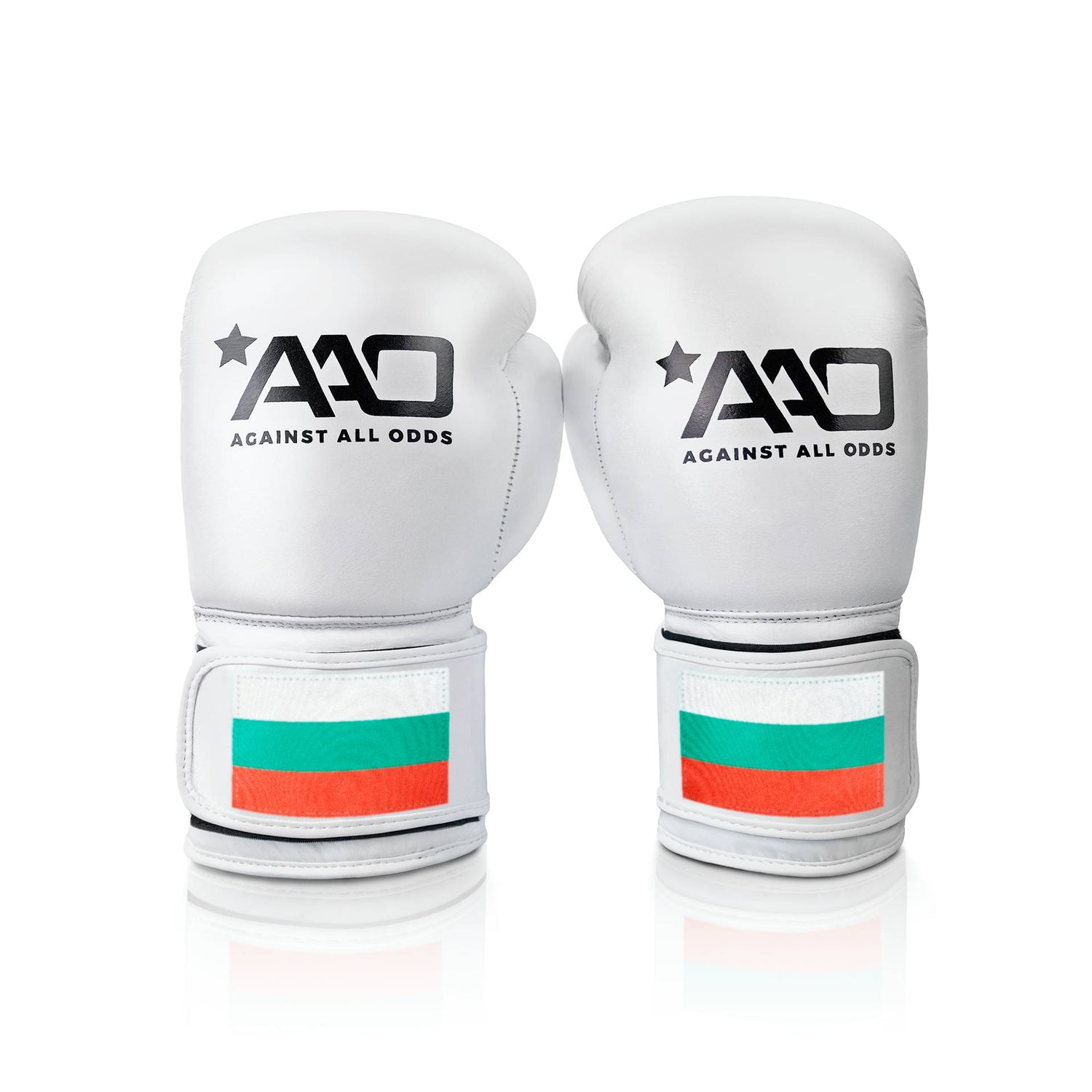 Bulgaria Boxing Glove