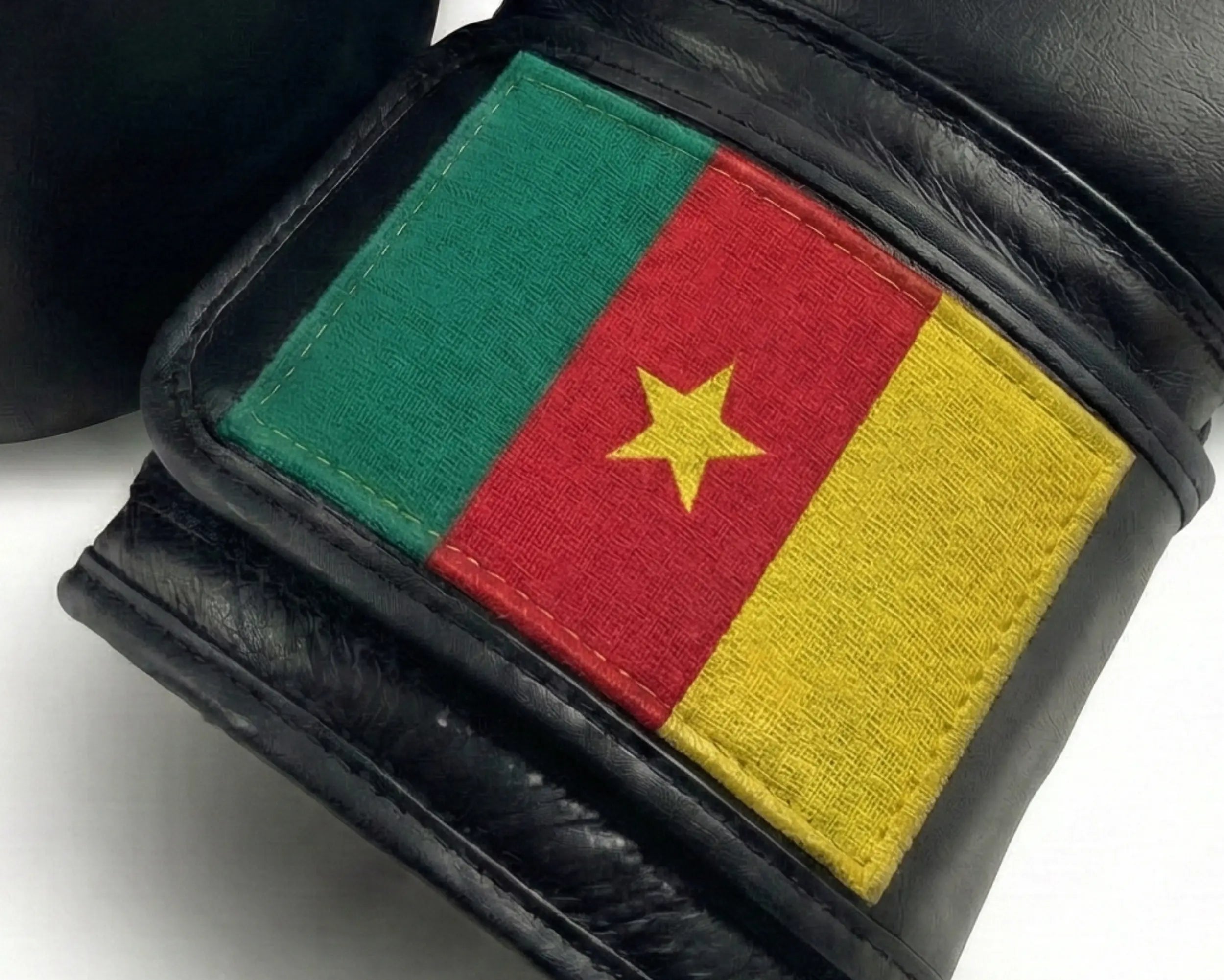 AAO Legacy Boxhandschuhe | Kamerun - Aao-Fighting