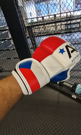 Czech MMA Glove