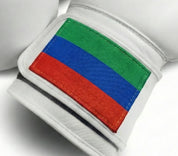 AAO Legacy Boxhandschuhe | Dagestan - Aao-Fighting