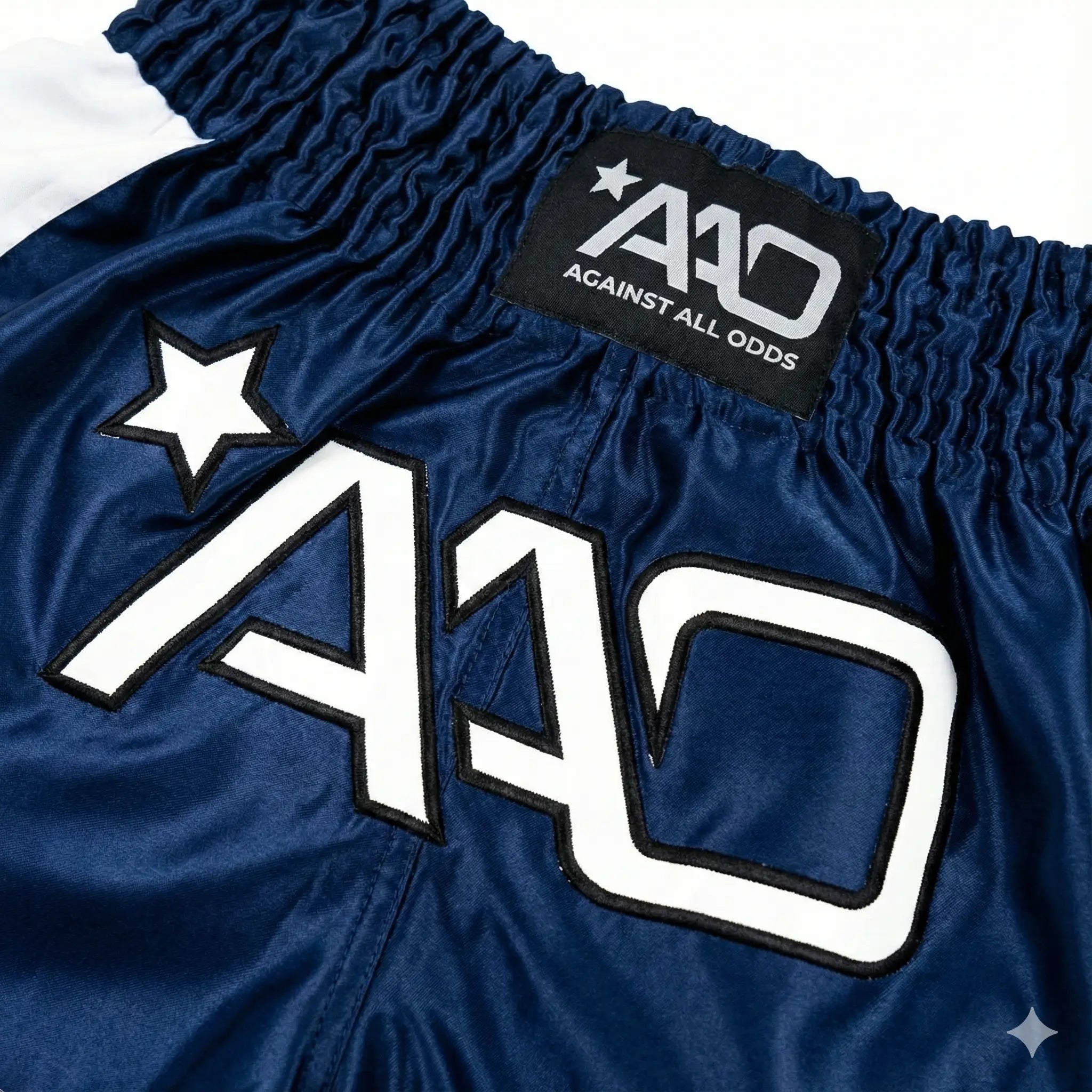AAO Muay Thai Shorts "Legacy" - Niederlande - Aao-Fighting