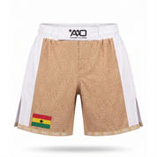 Ghana Elevate MMA Shorts Beige/Weiss Bild 1