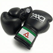 AAO Legacy Boxhandschuhe Ingushetia  Flagge Echtleder