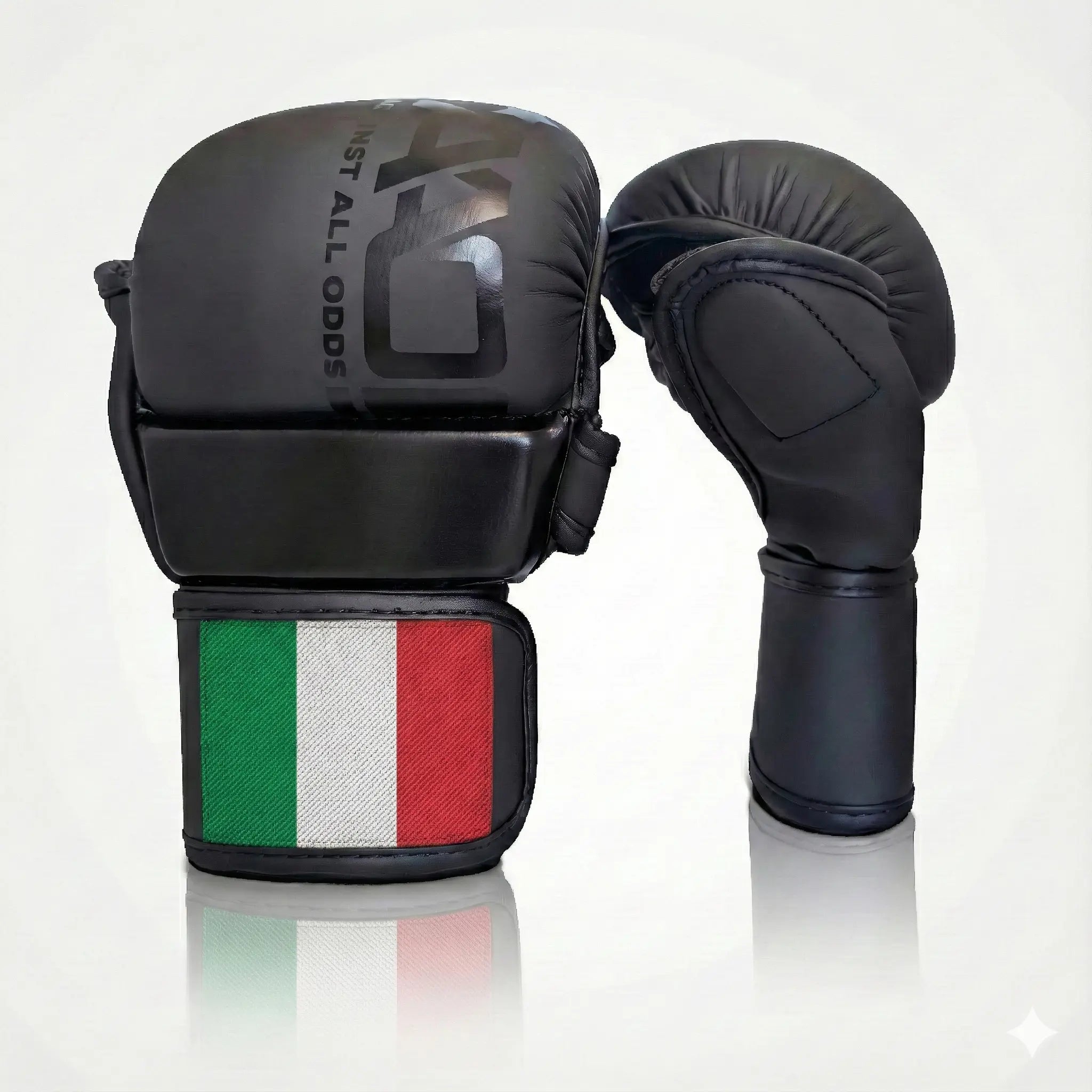 AAO Legacy MMA Handschuhe | Italien - Aao-Fighting