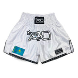 AAO Muay Thai Shorts "Legacy" - Kazakhstan