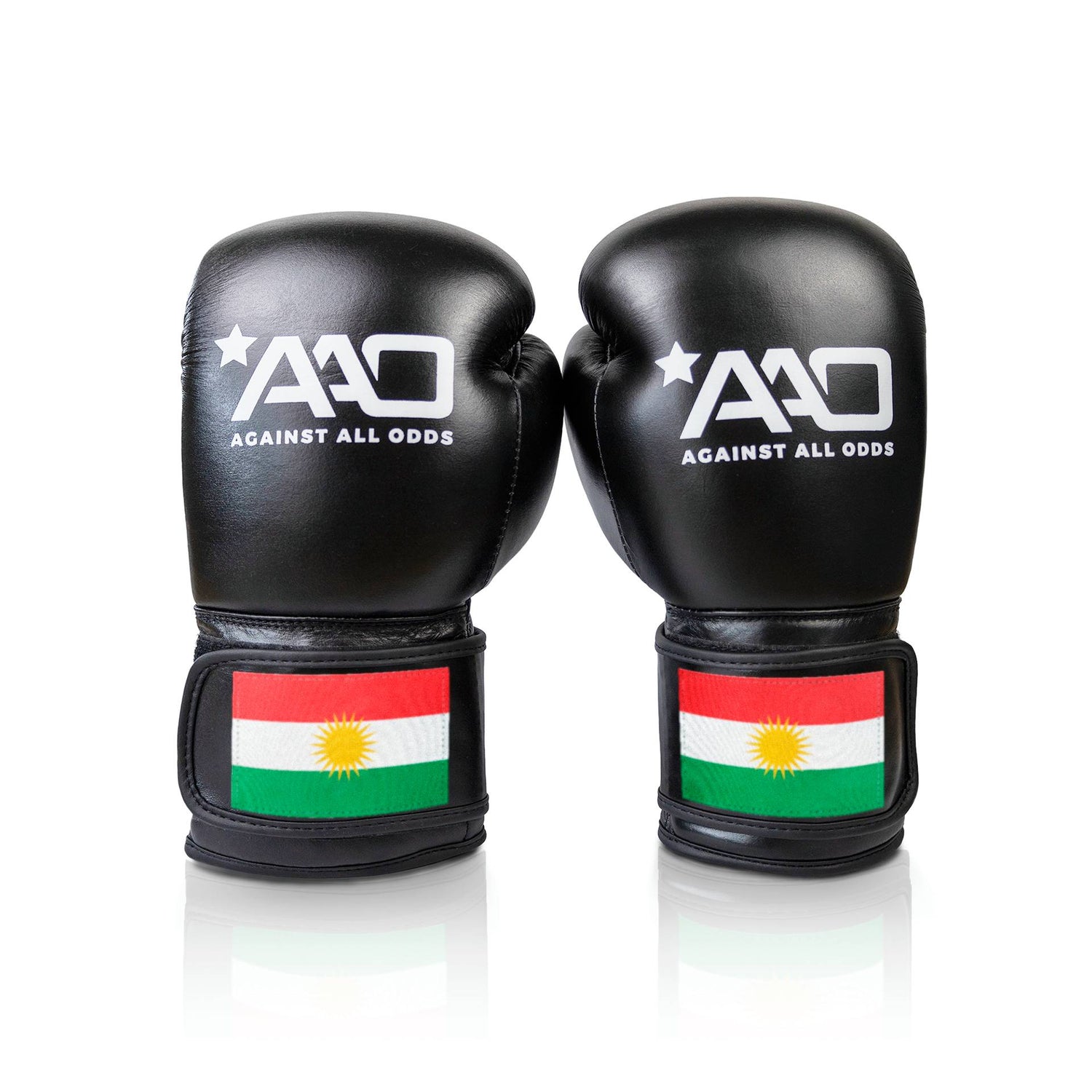 Kurdistan Boxing Glove