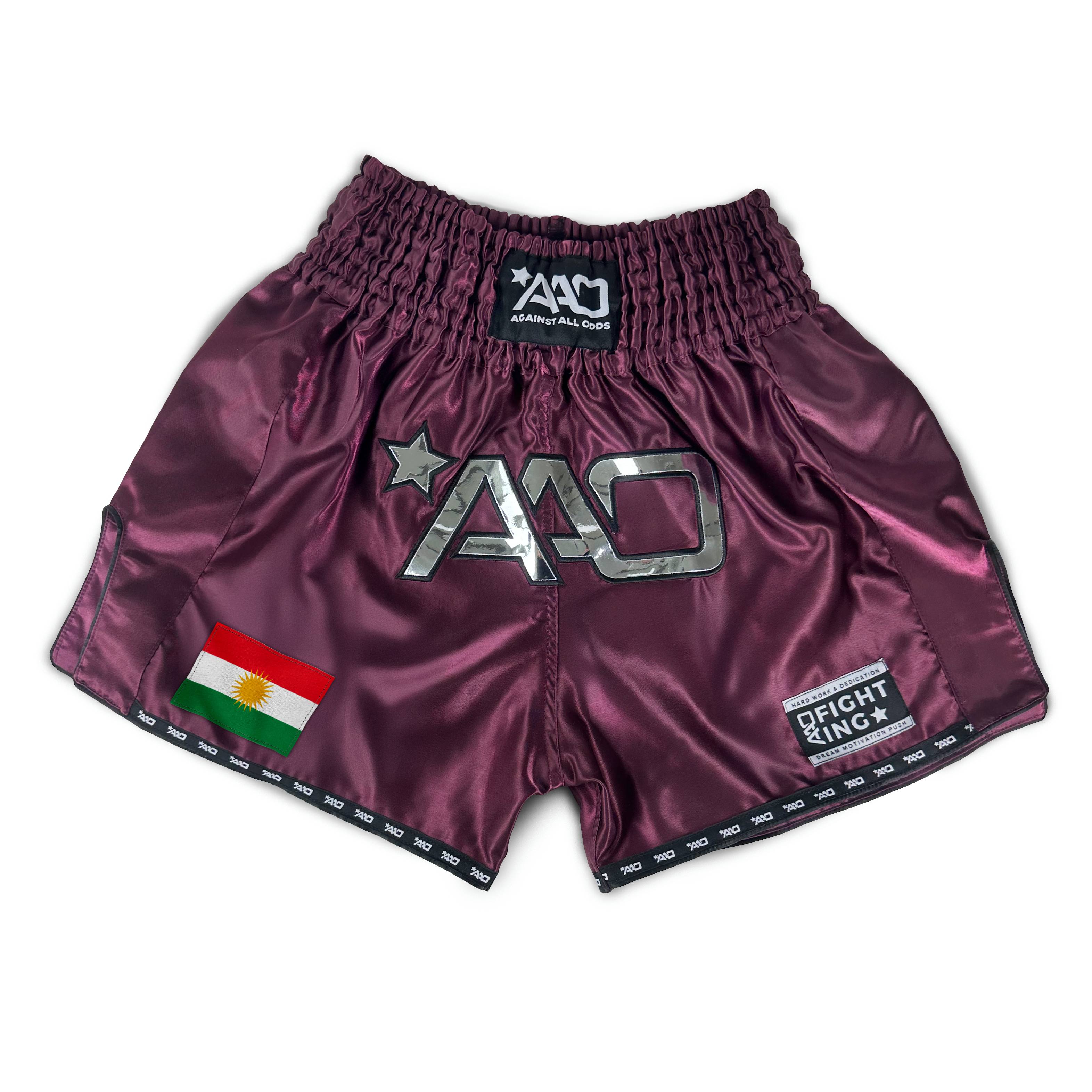 AAO Muay Thai Shorts "Legacy" - Kurdistan - Aao-Fighting