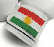 AAO Legacy Boxhandschuhe | Kurdistan - Aao-Fighting