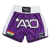 AAO Muay Thai Shorts "Legacy" - Kurdistan - Aao-Fighting