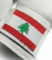AAO Legacy Boxhandschuhe | Libanon - Aao-Fighting