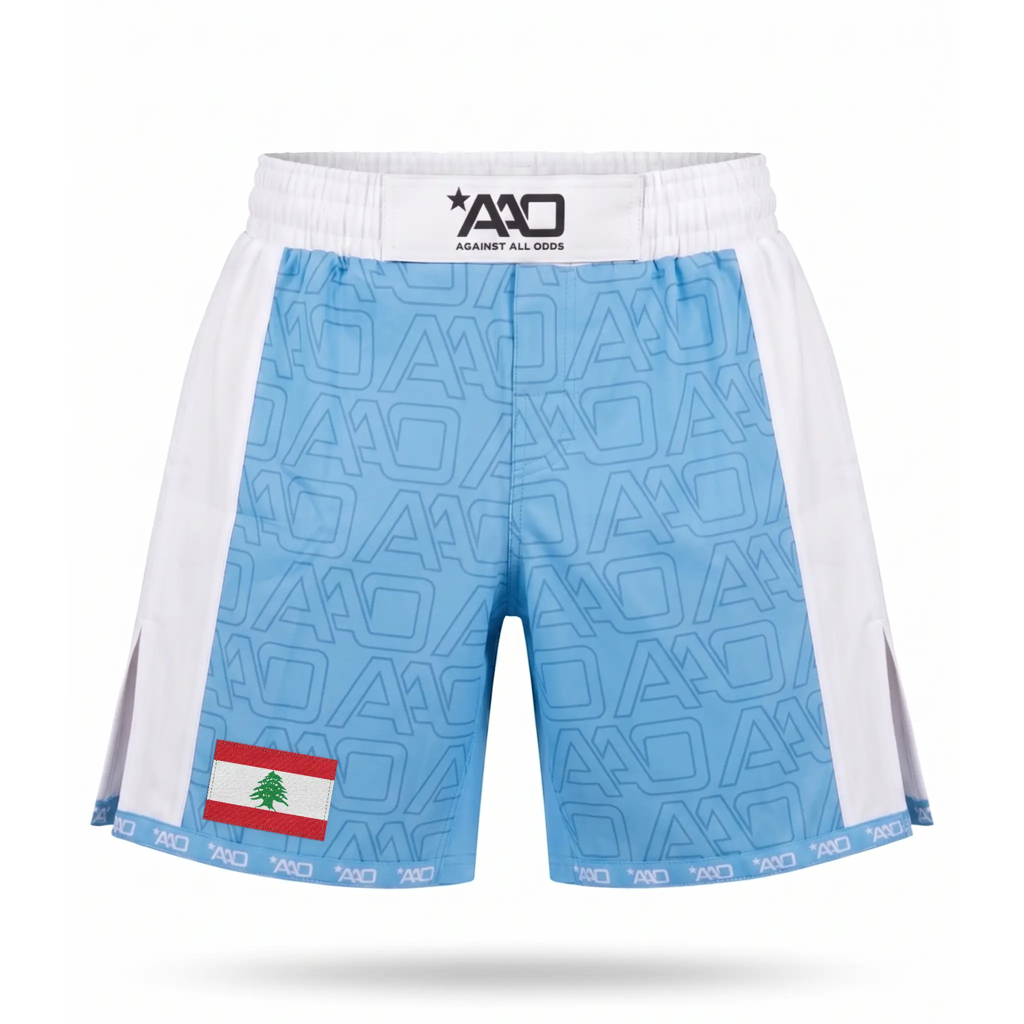 Libanon Elevate MMA Shorts Babyblau/Weiss Bild 1
