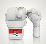 Gants de MMA AAO Legacy | Algérie