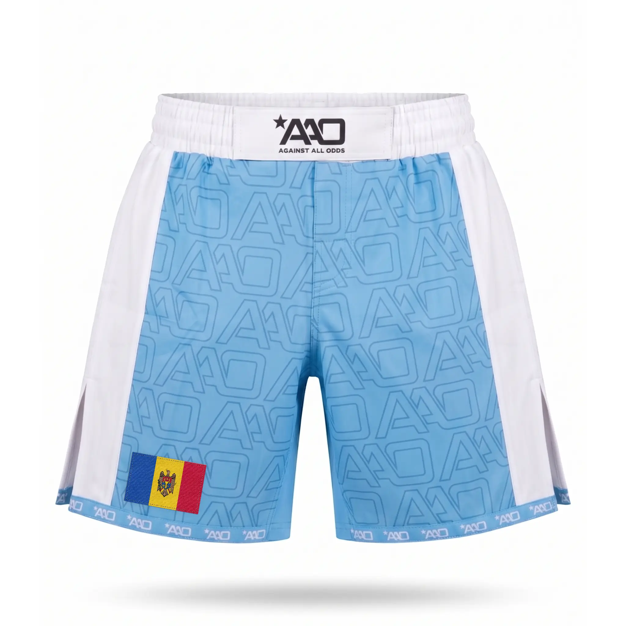 Moldawien Elevate MMA Shorts Babyblau/Weiss Bild 1