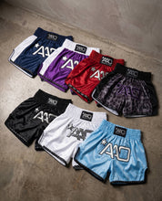 Muay Thai Starter Set (Boxhandschuhe + Shorts + Shinguards)