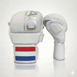AAO Legacy Mixed Martial Arts Gloves | Netherlands