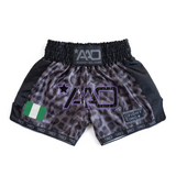 Nigeria TechLayer Muay Thai Shorts - AAO