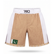 Pakistan Elevate MMA Shorts Beige/Weiss Bild 1