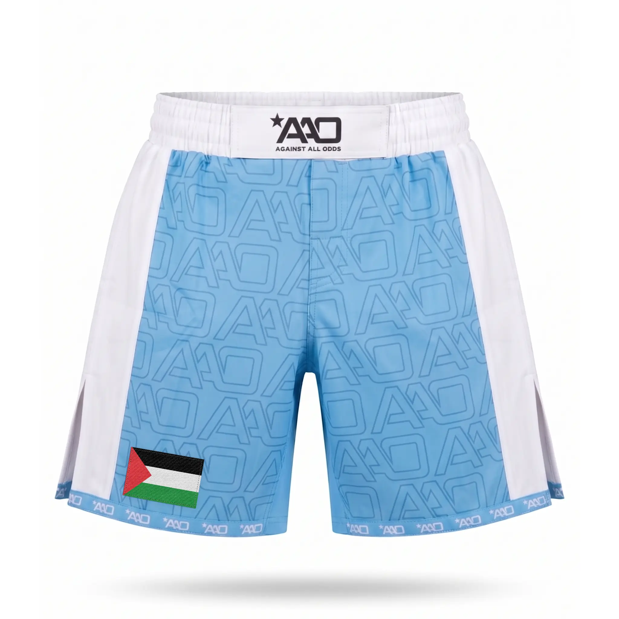Palästina Elevate MMA Shorts Babyblau/Weiss Bild 1