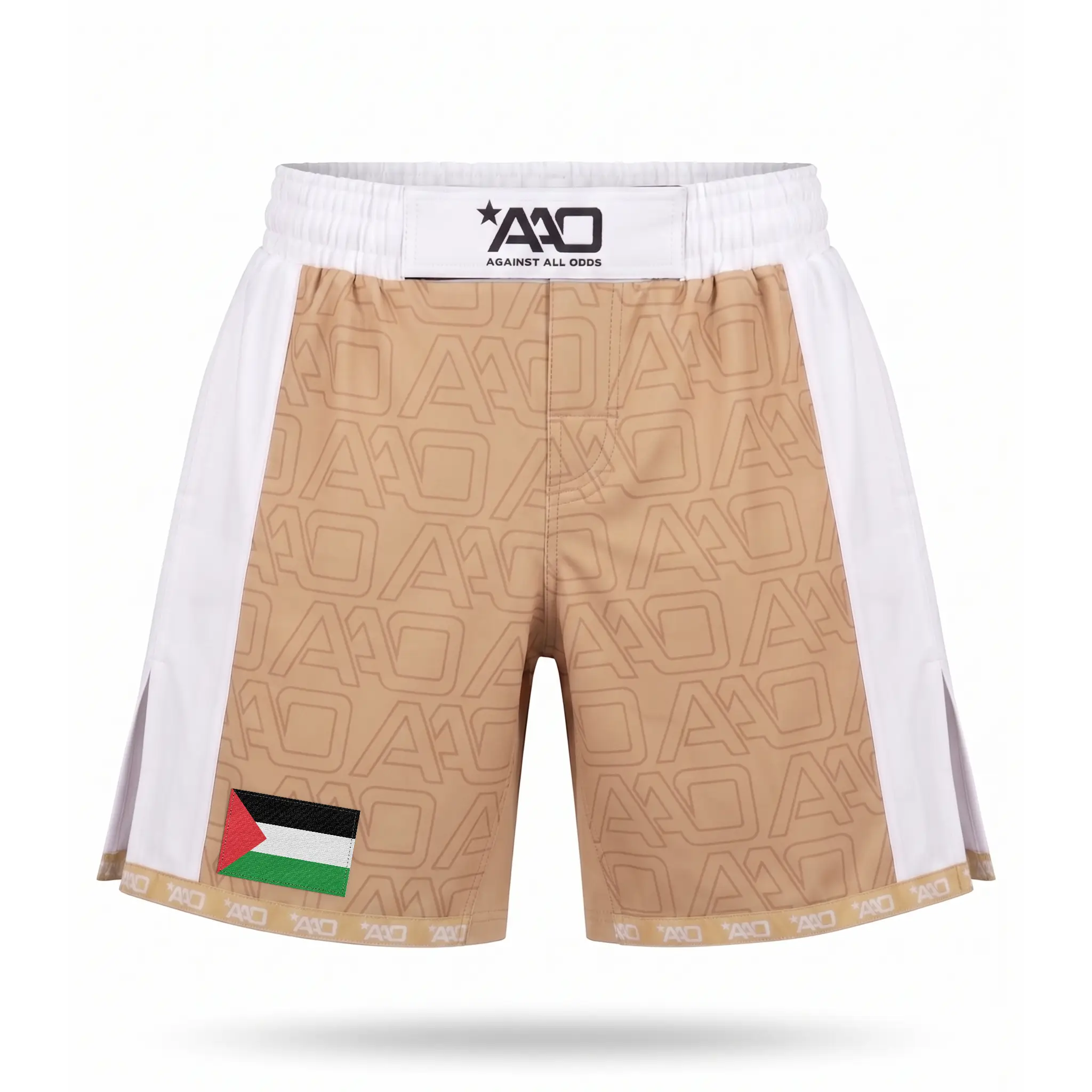Palästina Elevate MMA Shorts Beige/Weiss Bild 1