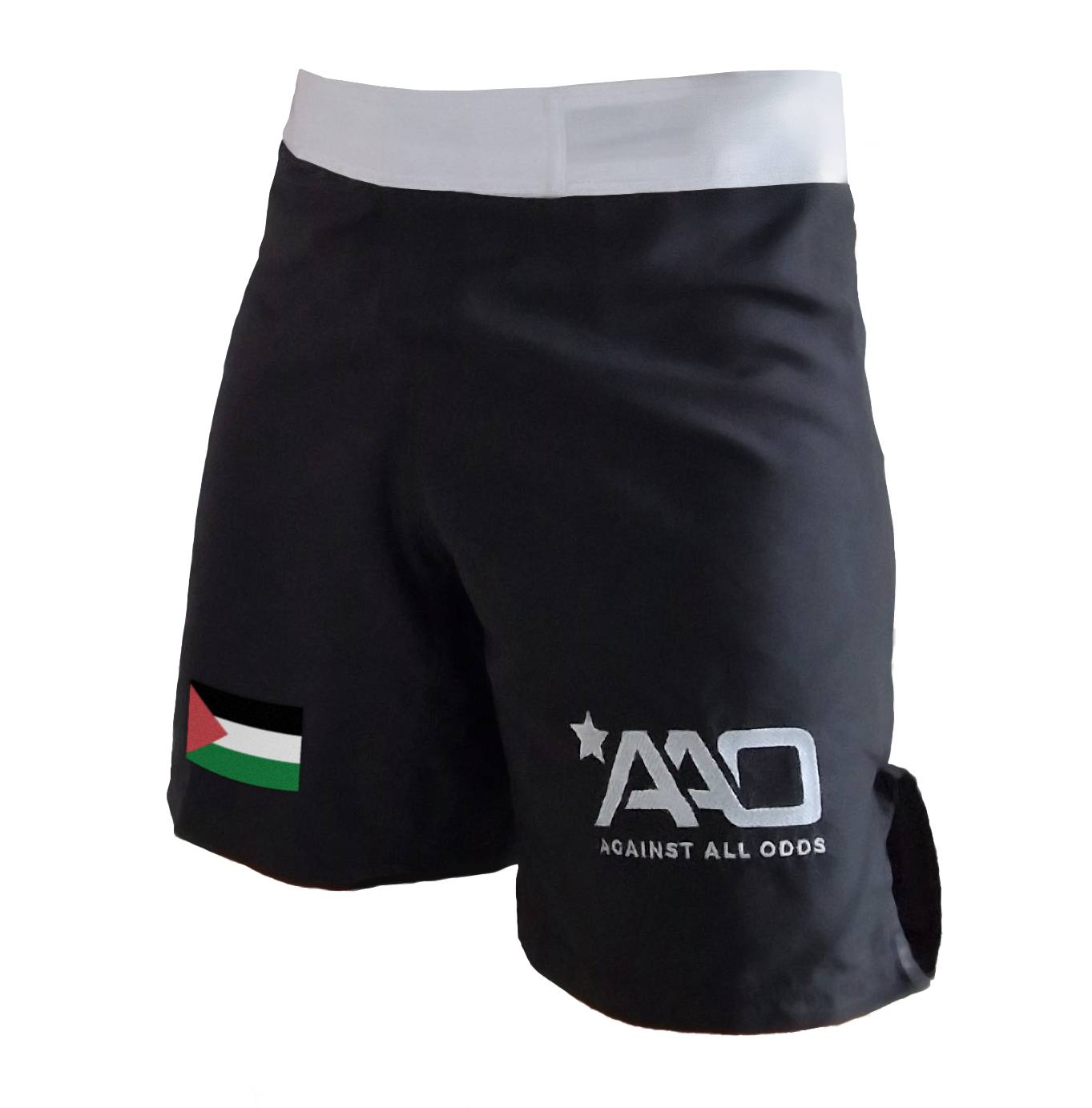 Palestine MMA Shorts