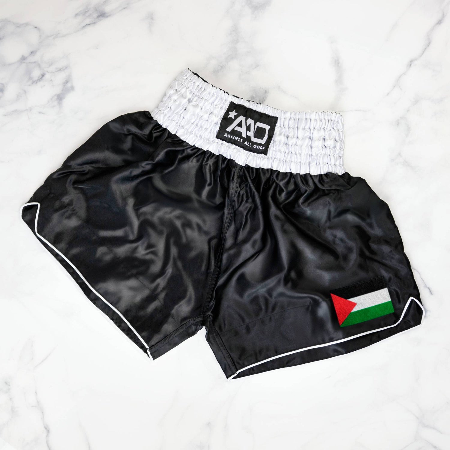 Palestine Muay Thai Shorts