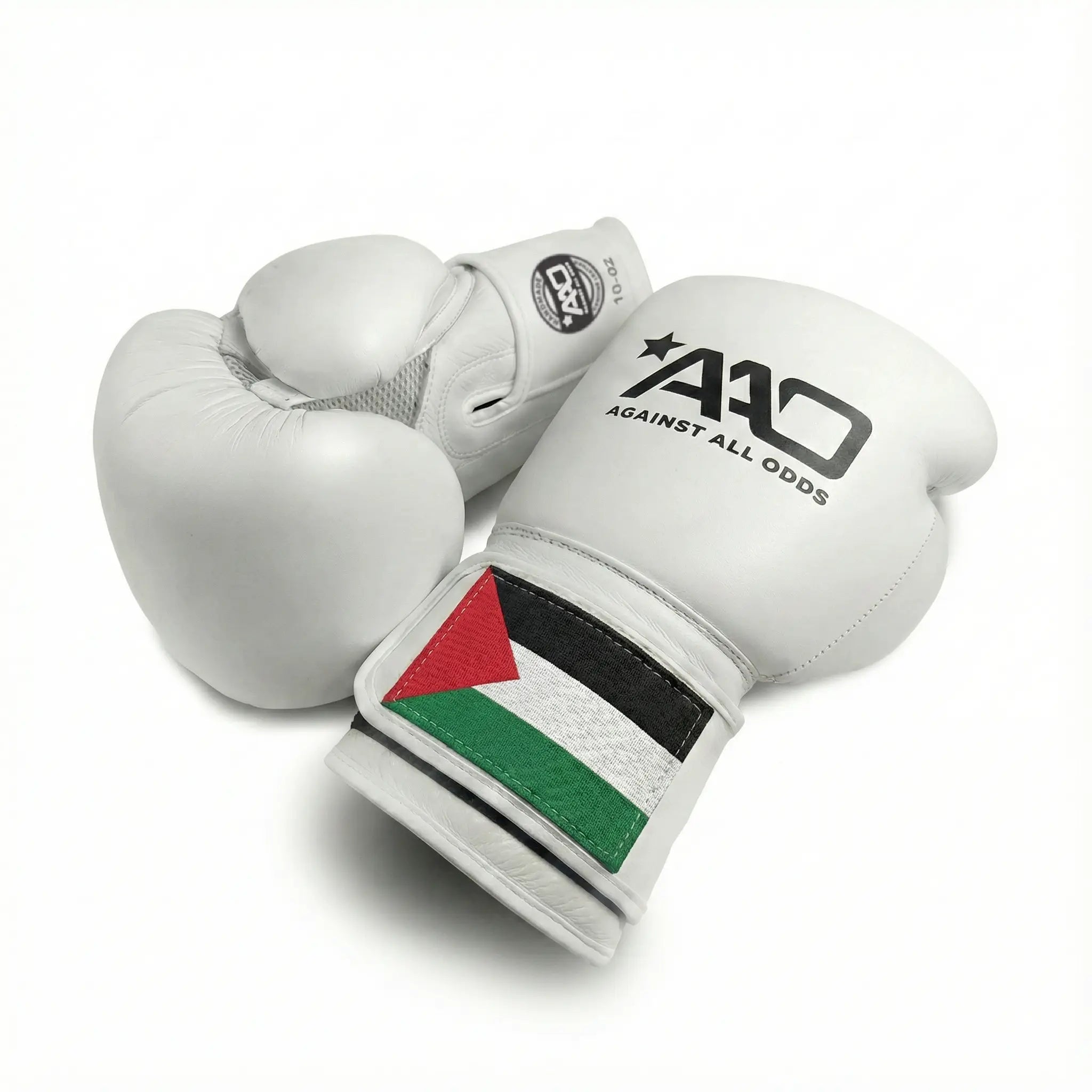 AAO Legacy Boxhandschuhe | Palestine - Aao-Fighting